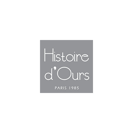 Histoire d'Ours